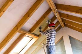 Best Eco-Friendly or Green Insulation Solutions  in Holiday Valley, OH